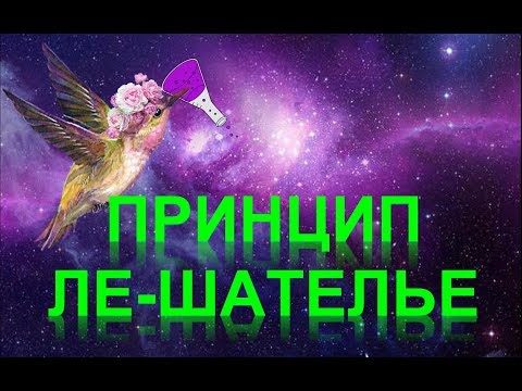 Видео: 85. Принцип Ле-Шателье (часть 2)