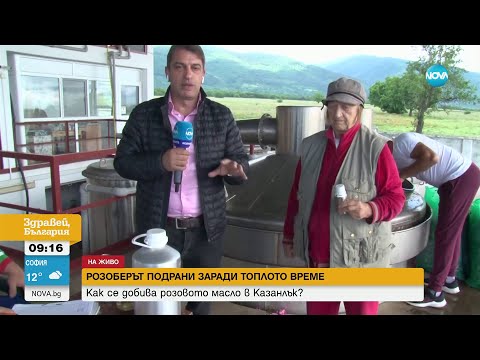 Видео: Защо азиатците изкупуват българското розово масло - Здравей, България (30.05.2024)