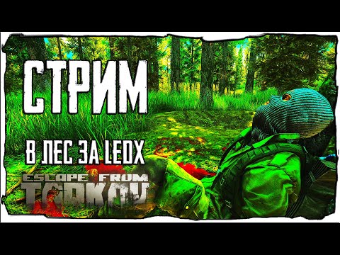 Видео: Стрим Escape from Tarkov Лутака выехал за LedX'ом!