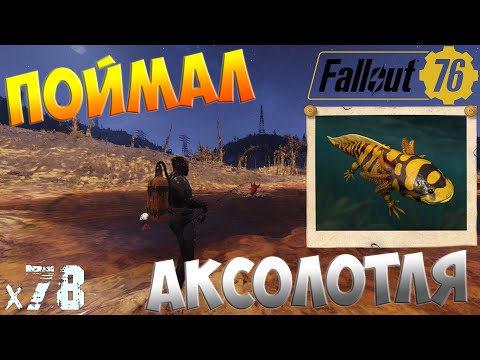 Видео: Fallout 76 - Секреты рыбалки - Аксолотль х78