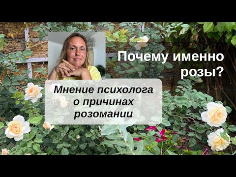 Видео: Почему именно розы? Мнение психолога о причинах розомании