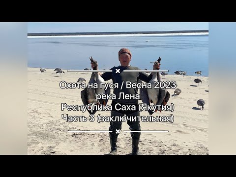 Видео: Охота на гуся весна 2023 / Goose hunting spring in Sakha Yakutia / Охота без преувеличений / Часть 3