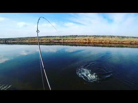 Видео: КАРАСЬ И ЛЕЩ НА СПИННИНГ, КАЖДЫЙ ЗАБРОС! Слишком уловистая снасть!!! Такого вы не видели!