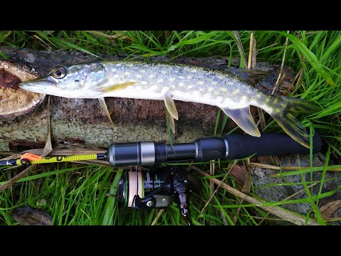 Видео: #182 Мормышинг | Микро речка | Плотва, окунь, щука | Часть 1
