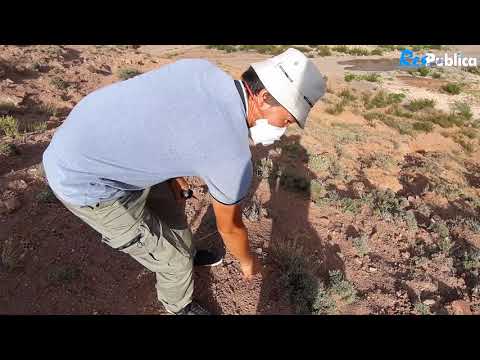 Видео: Урановое наследие Иссык-Куля.  Грозит ли нам опасность?