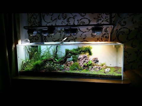 Видео: Интерактивный аквариумный туризм Сезон 3 Выпуск 31(Техногенный скейп)