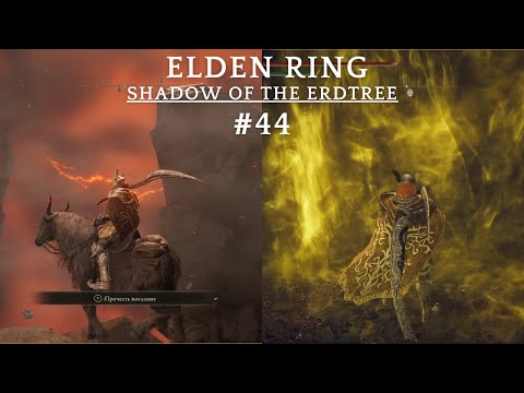 Видео: Первое прохождение Elden Ring Shadow of the Erdtree (день 44)