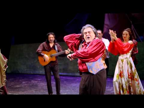 Видео: "ПОДКОВА СЧАСТЬЯ" ЦЫГАНСКИЙ ШОУ-АНСАМБЛЬ. ПОД РУКОВОДСТВОМ НИКОЛАЯ ЛЕКАРЕВА МЛ. #3