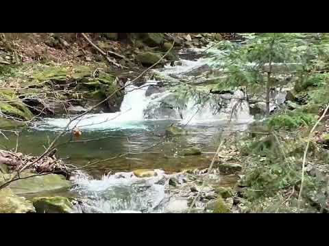 Видео: ИНГУШСКАЯ МУЗЫКА