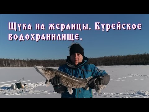 Видео: Рыбалка на щуку и налима в новый год. Бурейское водохранилище, Чеугда.