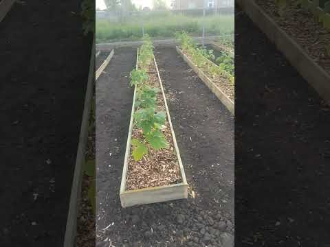 Видео: 18 октября 2025 г.