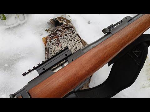 Видео: CZ 452  2E zkm малокалиберный карабин (мелкашка) 22 LR
