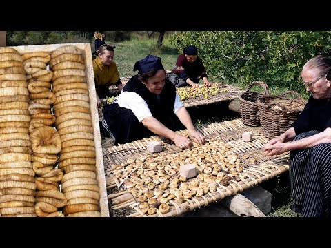 Видео: Сушеный инжир. Традиционная сушка и упаковка инжира | Потерянные сделки | Документальный фильм