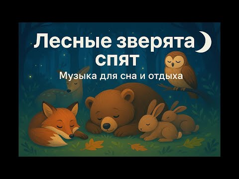 Видео: Лесные зверята спят музыка для сна и отдыха