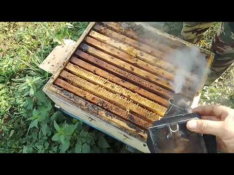 Видео: Снимаем вторые корпуса. Рутовская система