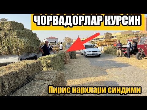 Видео: Прес нархлари тушдими 14 сентября 2025 г.