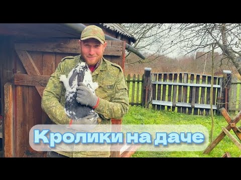 Видео: Кролики на даче| Беларусь 🇧🇾