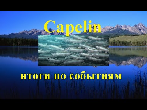Видео: Итоги по событиям Fishing Rival