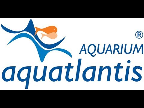 Видео: Ремонт аквариума aquatlantis. Неремонтопригодный, но красивый аквариум. Видос для профессионалов.