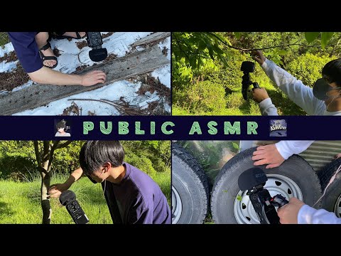 Видео: Публичный ASMR с seven ASMR в NO'N'IGHT FOREST.