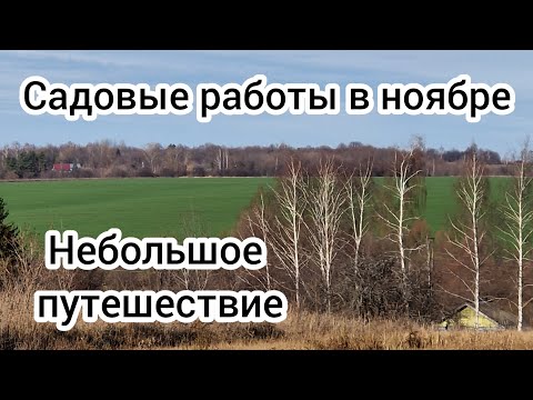 Видео: Садовые работы в ноябре.🌳 Небольшое путешествие🚕