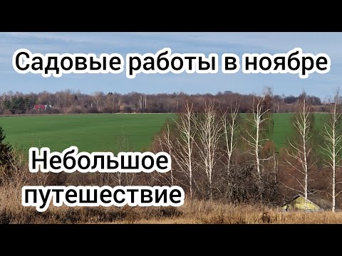 Видео: Садовые работы в ноябре.🌳 Небольшое путешествие🚕