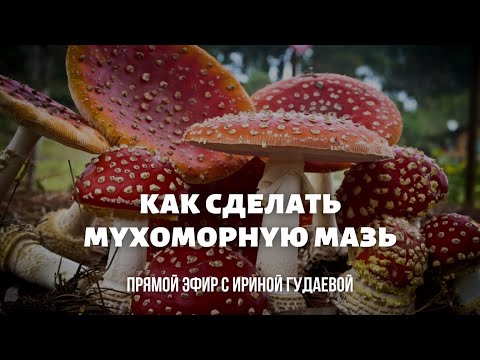 Видео: Прямой эфир с Ириной Гудаевой "Мазь из красного мухомора"