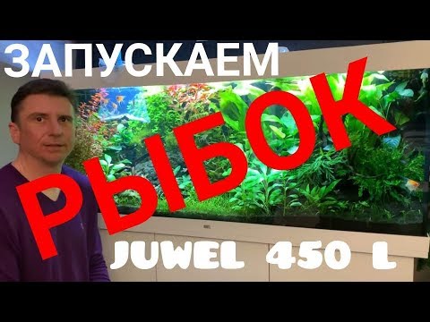 Видео: Запускаем рыбок в растительный аквариум Juwel 450 литров. Часть 26.