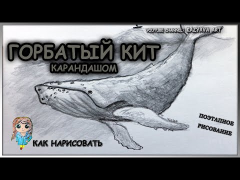 Видео: Как нарисовать ГОРБАТОГО КИТА карандашом. Поэтапное рисование