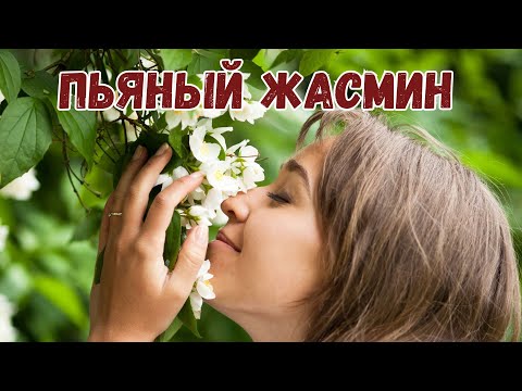 Видео: Пьяный жасмин – шикарная чарующая песня | Премьера