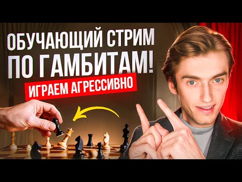 Видео: ОБУЧАЮЩИЙ СТРИМ по гамбитам! Учимся атаковать в духе Михаила Таля и Пола Морфи!
