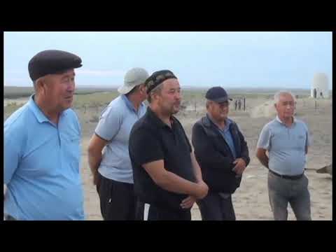 Видео: ТАБЫН, ҚАРАҚОЙЛЫ, ЛАБАҚ АТА КЕСЕНЕСІ
