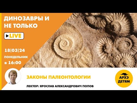 Видео: Занятие "Законы палеонтологии" кружка "Динозавры и не только" с Ярославом Поповым