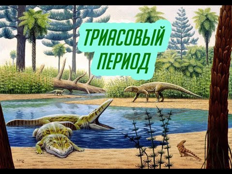 Видео: Триасовый период | Александр Ипатов