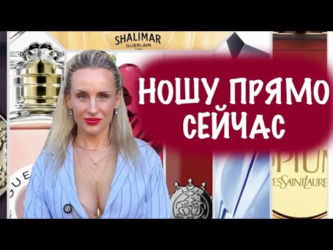 Видео: ЗАПАХИ ОСЕНИ 2025