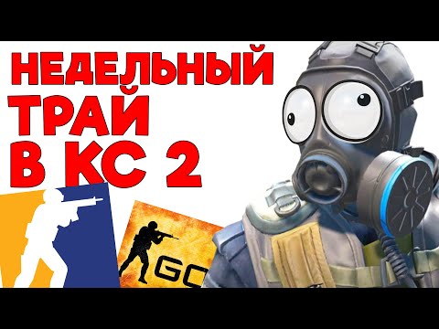 Видео: Новичок НЕДЕЛЮ играл в КС 2 и вот ЧТО из ЭТОГО ВЫШЛО #csgo #ксго