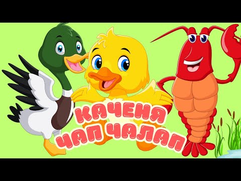Видео: ВЕСЕЛЕ КАЧЕНЯ ЧАП ЧАЛАП | ДИТЯЧІ ПІСНІ @maldivy888