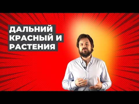 Видео: Невидимое глазу. Часть 2. Воздействие Дальнего Красного на растения.