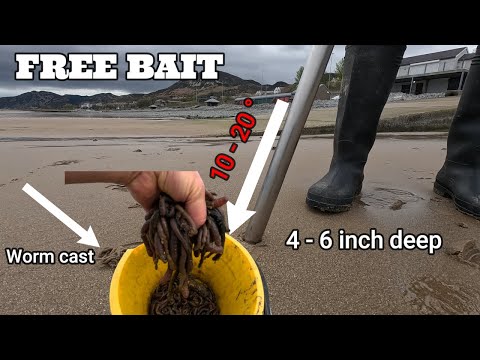 Видео: КАК НАКАЧИВАТЬ ЧЕРВЯ | ЛУЧШАЯ УНИВЕРСАЛЬНАЯ НАЖИМКА? | MASTERFISHERMAN | МОРСКАЯ РЫБАЛКА ВЕЛИКОБР...