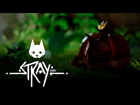 Видео: STRAY Прохождение ➤ ПЕРВЫЙ ВЗГЛЯД (на русском) ➤ Котик потерялся #1