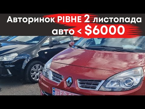 Видео: Бюджетні авто до $6000 на Рівненському авторинку 2 листопада #авторинокрівне