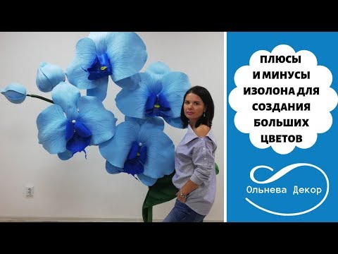 Видео: Плюсы и минусы изолона для сознания больших цветов. Ольнева Декор