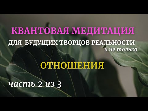 Видео: Квантовая медитация для Творцов Часть 2 Отношения