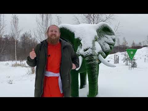 Видео: Срединный путь. Как найти?