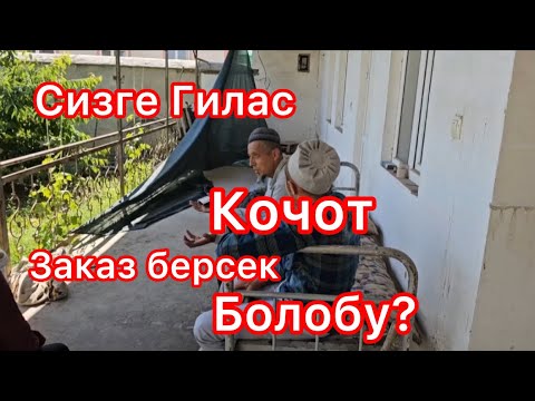 Видео: Сизге Гилас Кочот Заказ берсек Болобу???