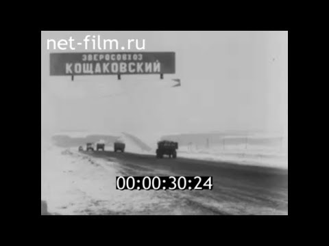 Видео: 1971г. с. Кощаково зверосовхоз Кощаковский Пестречинский район Татарстан