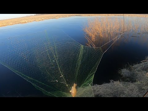 Видео: рыбалка на паук подъёмник выехали на пару часов и наловили Рыбы