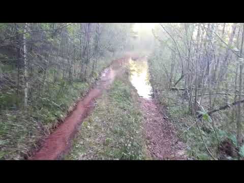 Видео: Ярцевский и Чунинский бокситовые рудники. Деревни Ярцево и Мощенка.