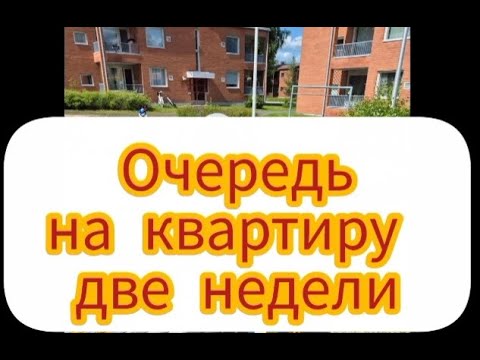 Видео: Очередь на квартиру 2 недели. Финская глубинка. 