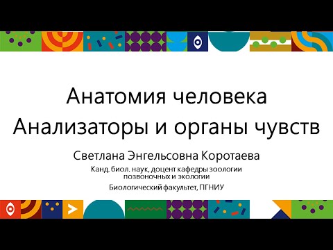 Видео: Анализаторы и органы чувств | Открытый университет